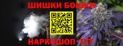 прущие грибы Обь
