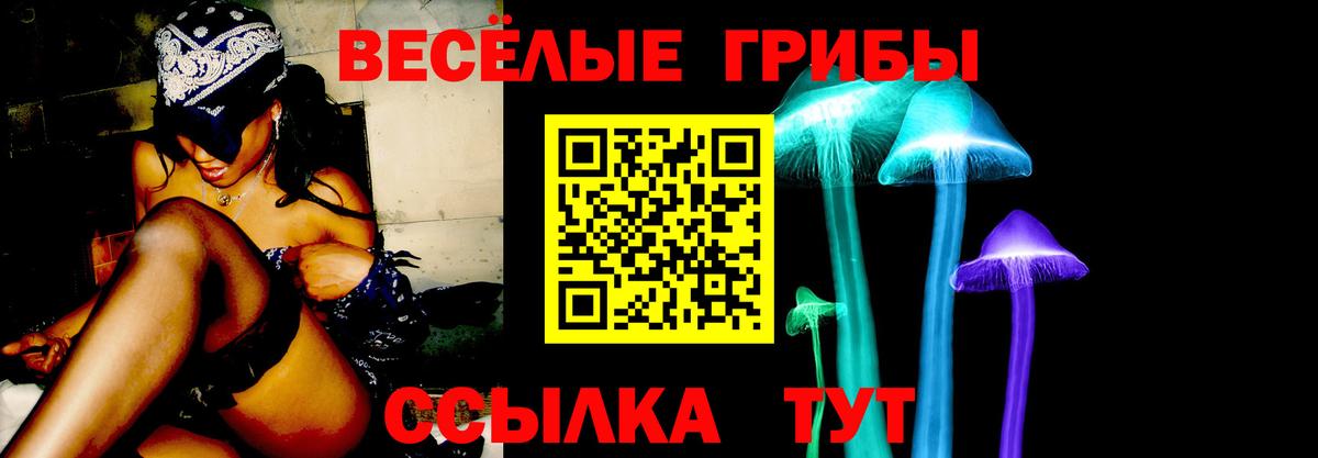 Псилоцибиновые грибы Psilocybe Удомля